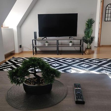 Tres Bel Appart Charmant 85M2 Parking Gratuit Molsheim Eksteriør bilde