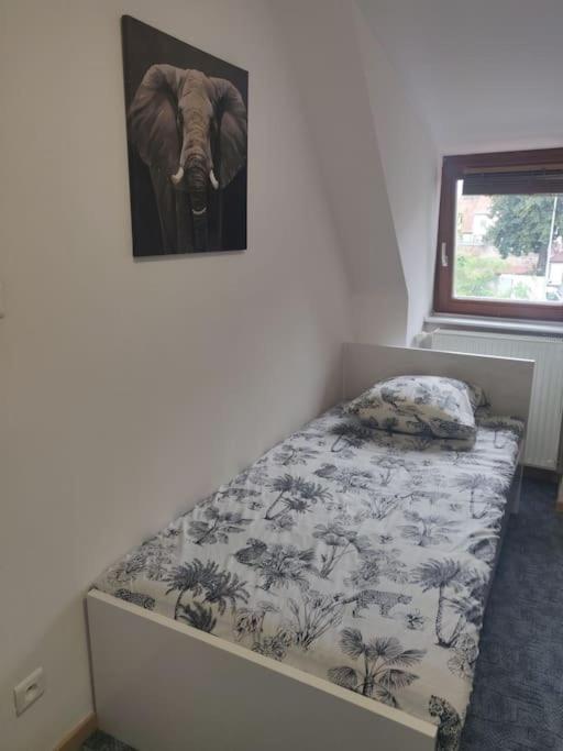 Tres Bel Appart Charmant 85M2 Parking Gratuit Molsheim Eksteriør bilde