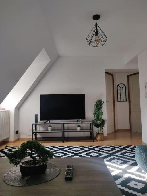 Tres Bel Appart Charmant 85M2 Parking Gratuit Molsheim Eksteriør bilde